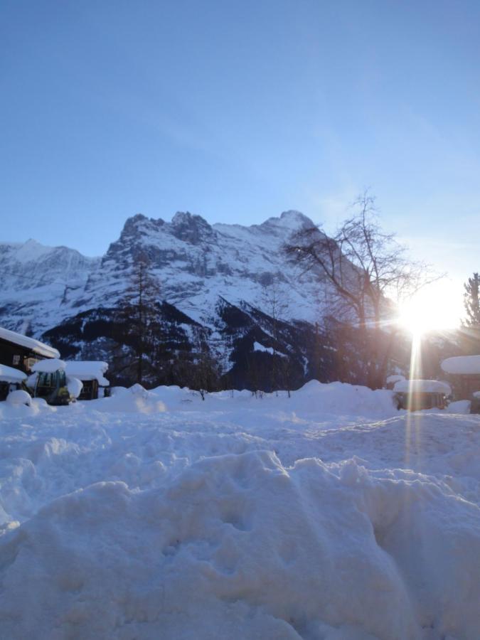 Chalet Engi for 6-8 People Grindelwald Eksteriør billede