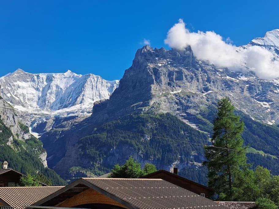 Chalet Engi for 6-8 People Grindelwald Eksteriør billede