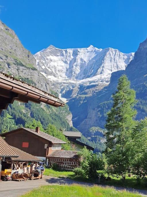 Chalet Engi for 6-8 People Grindelwald Eksteriør billede