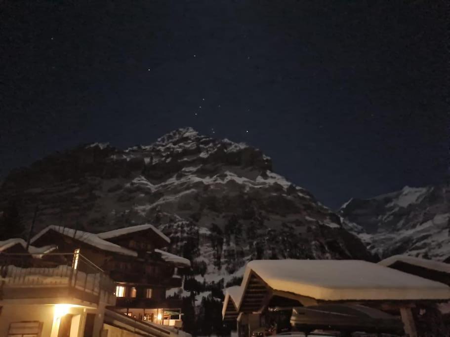 Chalet Engi for 6-8 People Grindelwald Eksteriør billede