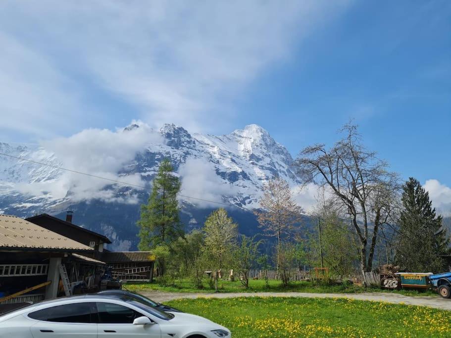Chalet Engi for 6-8 People Grindelwald Eksteriør billede