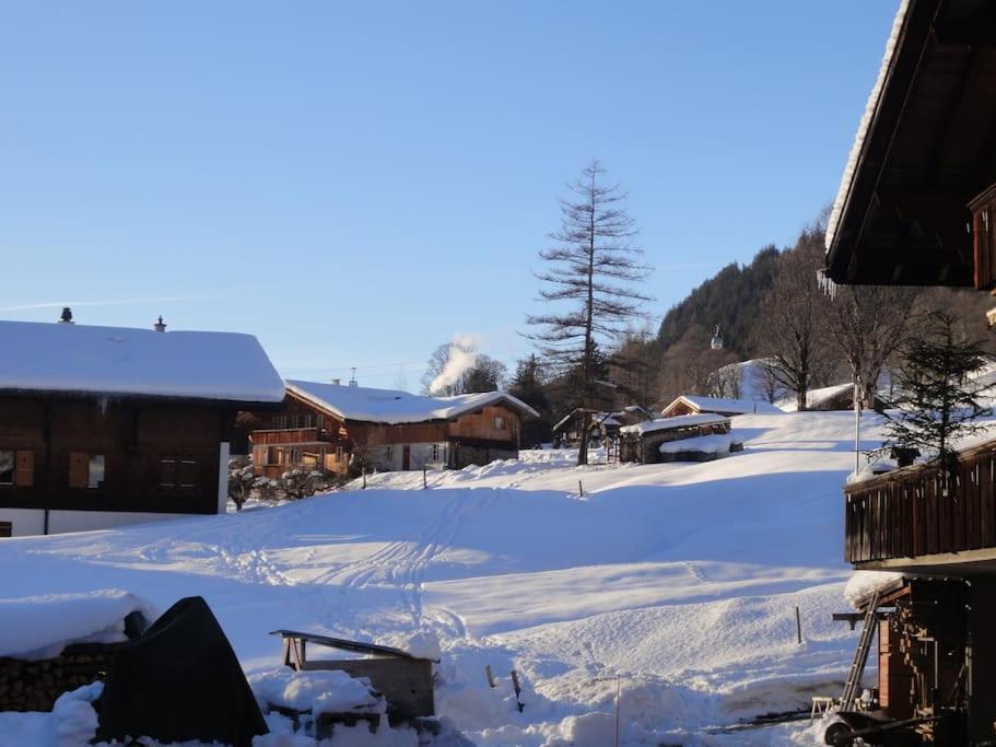 Chalet Engi for 6-8 People Grindelwald Eksteriør billede