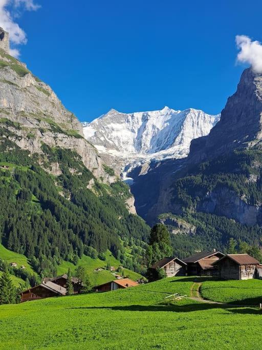 Chalet Engi for 6-8 People Grindelwald Eksteriør billede
